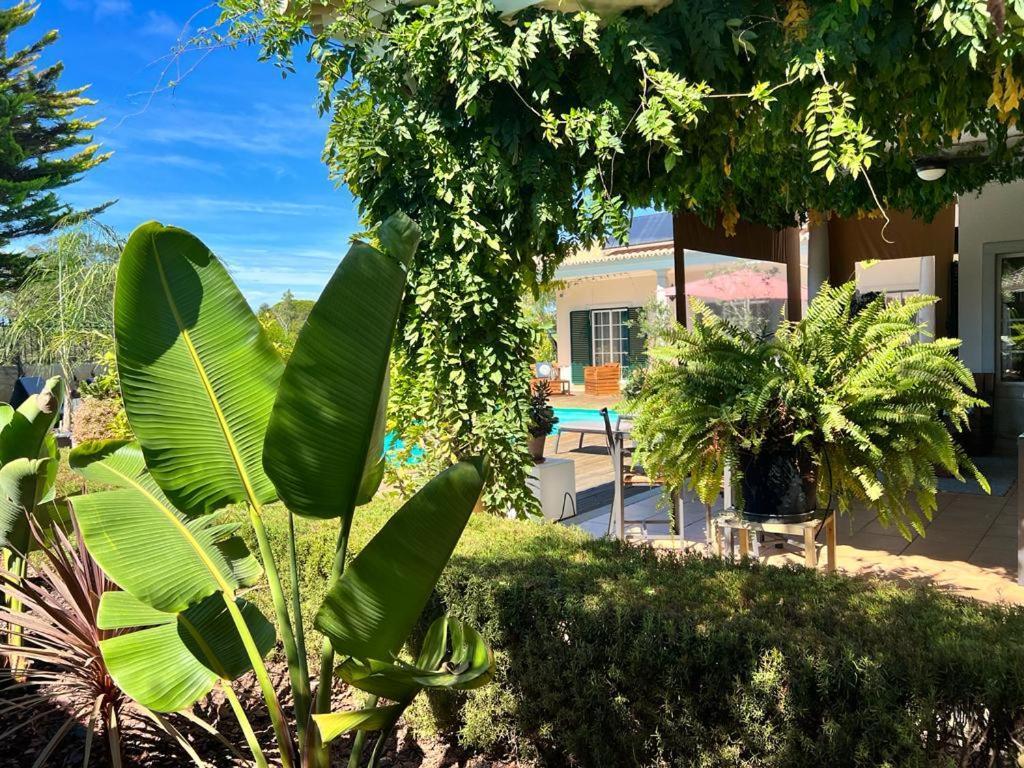 Buganvilias Do Meco Guest House セシンブラ エクステリア 写真