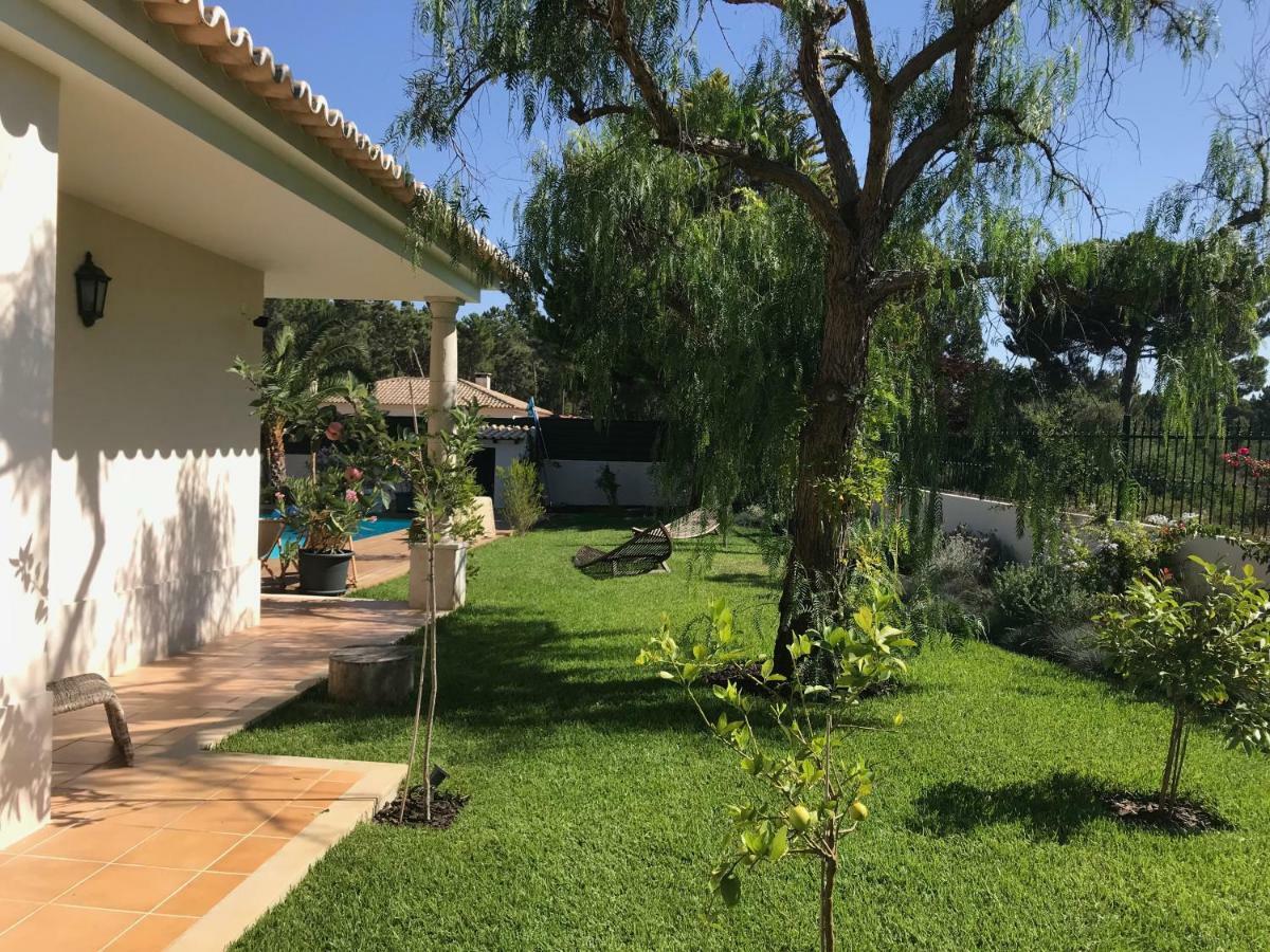 Buganvilias Do Meco Guest House セシンブラ エクステリア 写真